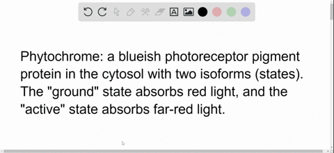 phytochrome-a-is-the-only-photoreceptor-pigment-in-plants-b-exists-in-two-forms-that-are-interconver