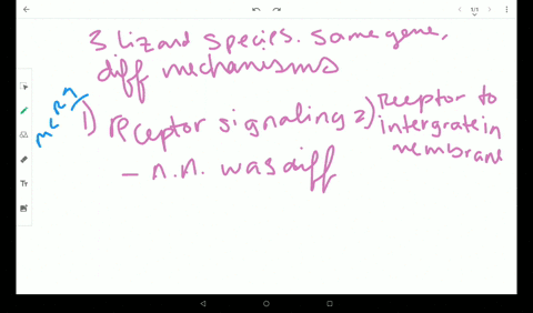 for-a-striking-example-of-convergent-evolution-see-2