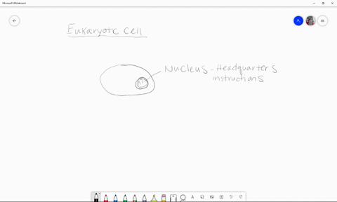 one-way-to-understand-cell-function-is-to-compare-the-parts-of-a-cell-to-the-parts-of-a-factory-fo-2