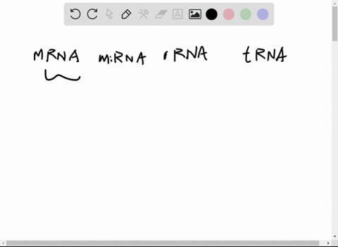 what-is-the-smallest-type-of-rna-a-operatornamemrna-b-microrna-c-mathrmrrna-d-mathrmtrna