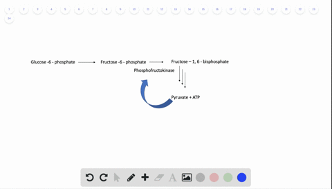 using-an-example-explain-how-enzyme-feedback-inhibition-regulation-regulates-a-cellular-process