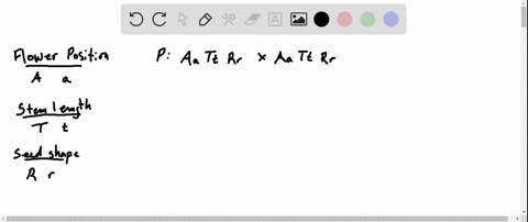 flower-position-stem-length-and-seed-shape-are-three-characters-that-mendel-studied-each-is-contro-2
