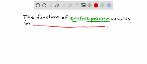 the-hormone-erythropoietin-causes-_____-a-increased-heart-rate-b-deeper-breathing-c-red-blood-cell-f