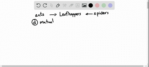 the-relationship-between-ants-and-treehoppers-in-the-presence-of-spiders-is-an-example-of-a-commensa