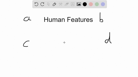 all-of-the-following-are-features-that-collectively-distinguish-humans-from-other-animals-except-a-b