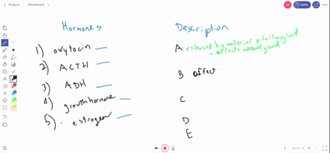 match-the-endocrine-control-concepts-__________-oxytocin-__________-acth-__________-adh-__________-g