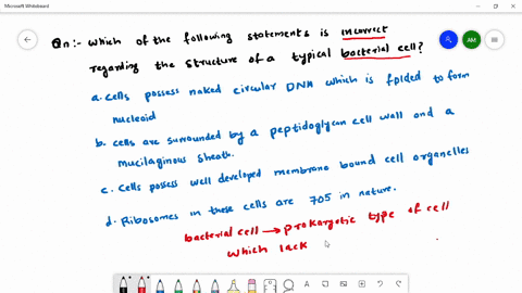 which-of-the-following-statements-is-incorrect-regarding-the-structure-of-a-typical-bacterial-cell-a