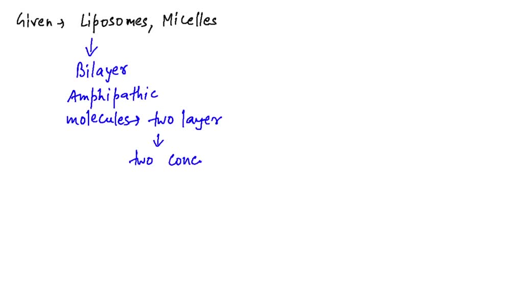 Solved Explain The Differences Between Exotoxins And Endotoxins
