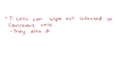 what-roles-do-b-cells-and-t-cells-play-in-the-immune-response-2