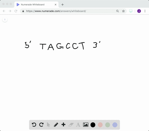 if-the-sequence-of-bases-in-one-strand-of-dna-is-5-tagcct-3-then-the-sequence-of-bases-in-the-other-