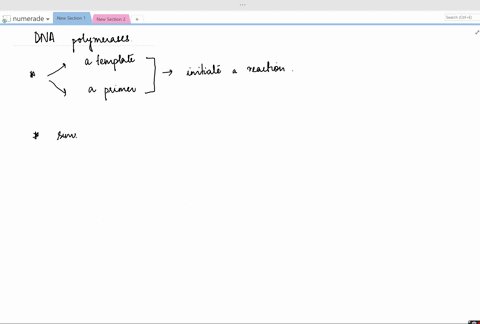 what-are-the-common-features-of-all-dna-polymerases