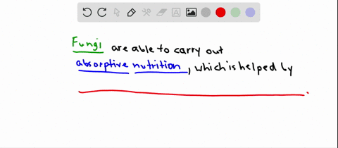 the-absorptive-nutrition-of-fungi-is-aided-by-a-dikaryon-formation-b-spore-formation-c-the-fact-that