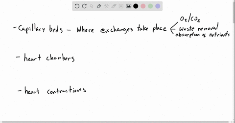 match-these-three-circulation-components-with-their-descriptions-beginarraycctext______capillary-bed