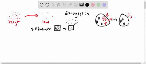 all-of-the-following-are-methods-of-moving-materials-across-cell-membranes-along-a-concentration-gra