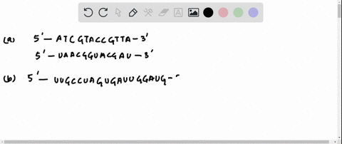 a-write-the-sequence-of-the-mrna-molecule-synthesized-from-a-dna-template-strand-having-the-follow-2