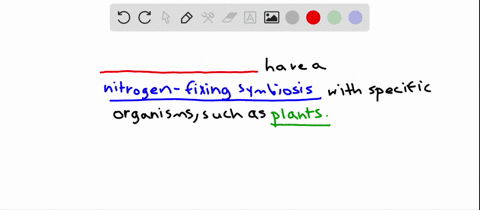 what-kinds-of-organisms-occur-in-nitrogen-fixing-symbioses-with-plants-a-cyanobacteria-b-actinobac-2
