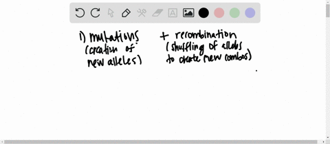 what-are-the-two-steps-in-the-process-of-evolution-2