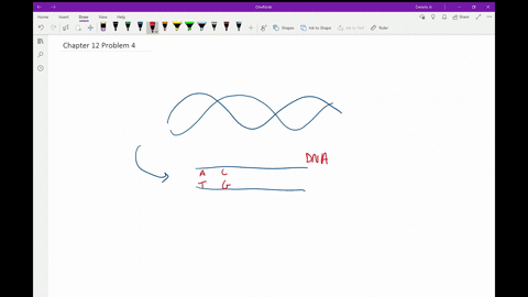 if-a-section-of-dna-has-27-percent-thymine-how-much-cytosine-will-it-have-a-23-percent-b-27-percent-