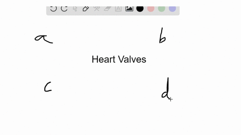 blood-moving-from-the-left-atrium-to-the-left-ventricle-passes-through-which-of-the-following-valv-2
