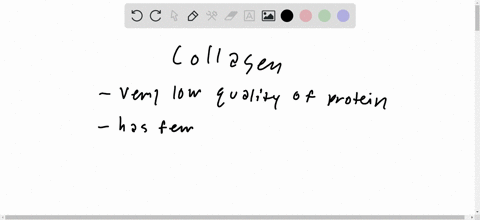 why-is-collagen-not-a-very-good-source-of-dietary-protein-2