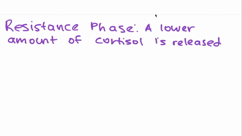 excessive-time-spent-in-the-resistance-phase-of-seyles-general-adaptation-syndrome-can-contribute-to