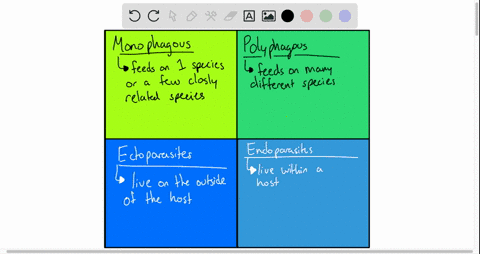 ticks-are-regarded-as-a-monophagous-endoparasites-b-monophagous-ectoparasites-c-polyphagous-endopara