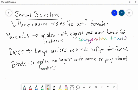 sexual-selection-frequently-influences-aspects-of-body-form-and-can-lead-to-_____-a-a-sexual-dimorph