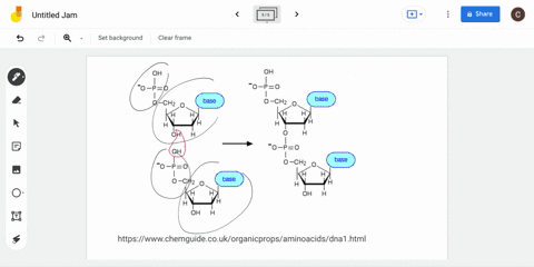 the-backbone-of-a-dna-molecule-is-a-polymer-of-alternating-sugar-deoxyribose-and-phosphoric-acid-u-3