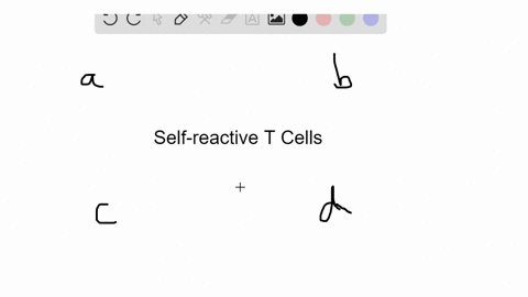 _______-is-a-condition-that-results-when-cytotoxic-t-cells-attack-the-bodys-own-cells-a-an-allergic-