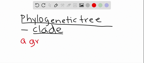 a-clade-is-a-a-type-of-phylogenetic-tree-b-a-group-of-evolutionarily-related-species-that-share-a-co