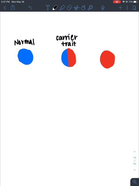 which-rare-genetic-disorder-would-be-inherited-by-the-pattern-shown-in-the-pedigree-a-cystic-fibrosi