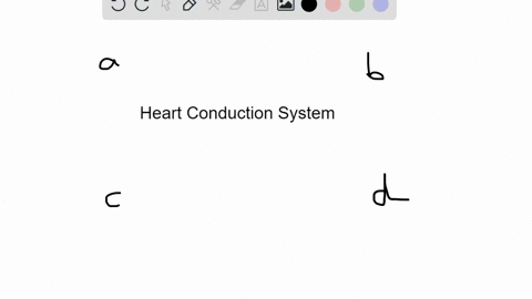 which-component-of-the-heart-conduction-system-would-have-the-slowest-rate-of-firing-a-atrioventricu