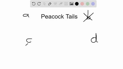 the-elaborate-tail-feathers-of-a-male-peacock-evolved-because-they-a-improve-the-reproductive-succes