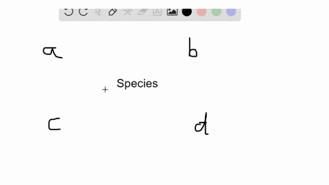 a-biological-species-a-always-looks-different-from-other-species-b-always-has-a-different-chromoso-2