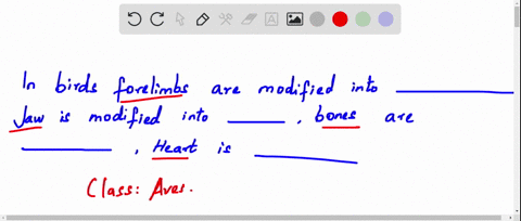 in-birds-the-forelimbs-are-modified-into_1_-jaw-is-modified-into_2_-bones-are-3_-heart-is_4_-fill-in