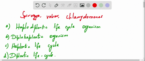 volvox-spirogyra-chlamydomonas-come-under-a-haplodiplontic-life-cycle-organism-b-diplohaplontic-orga
