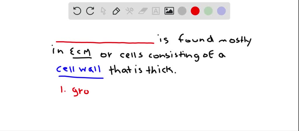 solved-a-type-of-tissue-that-is-rich-in-ecm-or-has-cells-with-a-thick