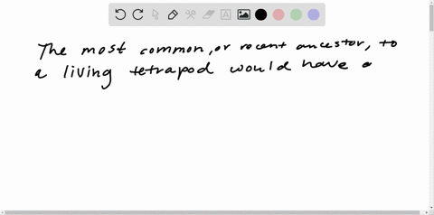 which-of-the-following-could-be-considered-the-most-recent-common-ancestor-of-living-tetrapods-a-a-2