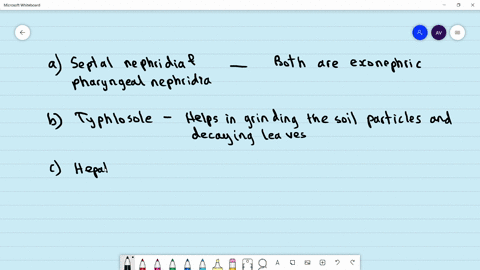 which-of-the-following-structures-is-correctly-matched-with-its-description-a-septal-nephridia-and-b