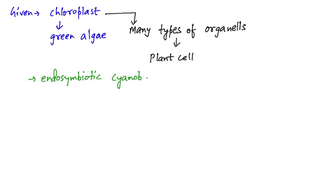 SOLVED One group of organisms in the bacterial can photosynthesize and