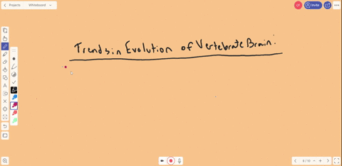 SOLVED:Label the diagram of the human brain.