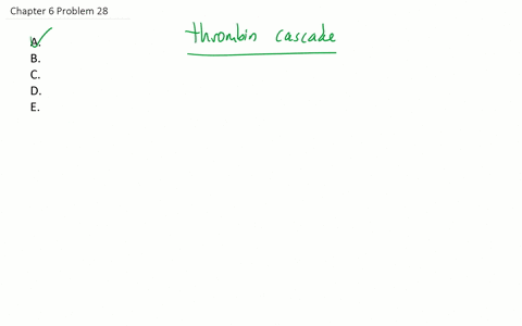 which-of-the-following-is-in-the-correct-sequence-for-blood-clotting-a-prothrombin-activator-prothro