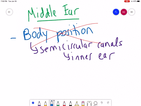 the-middle-ear-functions-in________-a-detecting-shifts-in-body-position-b-amplifying-and-transmittin