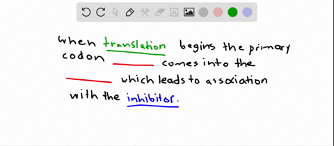 during-the-initiation-of-translation-the-first-codon-____-enters-the-_________-and-associates-with-t