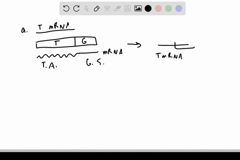 in-figure-8-22-show-how-the-double-stranded-rna-is-able-to-silence-the-transgene-what-would-have-to-