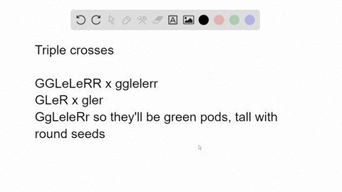 in-garden-peas-the-genotypes-g-g-or-gg-produce-green-pods-and-gg-produces-yellow-pods-lele-or-lele-p