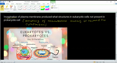 complete-the-following-questions-invagination-of-plasma-membrane-produced-what-structures-in-eukaryo