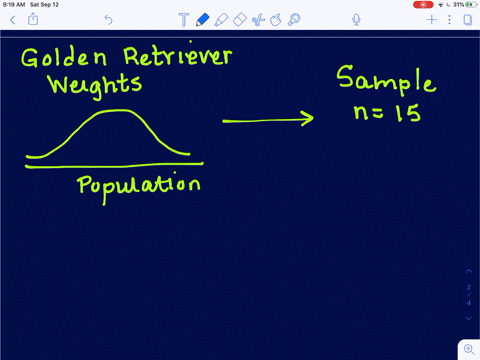 Breathtaking Weights Of Golden Retriever Dogs Are Normally Distributed Image in HD Breathtaking Weights Of Golden Retriever Dogs Are Normally Distributed Image in HD