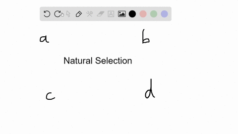 which-of-the-following-is-not-part-of-natural-selection-a-environmental-resources-b-differences-in-t