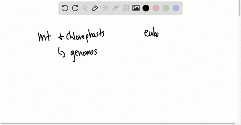 what-is-the-endosymbiotic-theory-how-does-it-help-to-explain-some-of-the-characteristics-of-mitochon